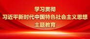 欧美插操学习贯彻习近平新时代中国特色社会主义思想主题教育_fororder_ad-371X160(2)